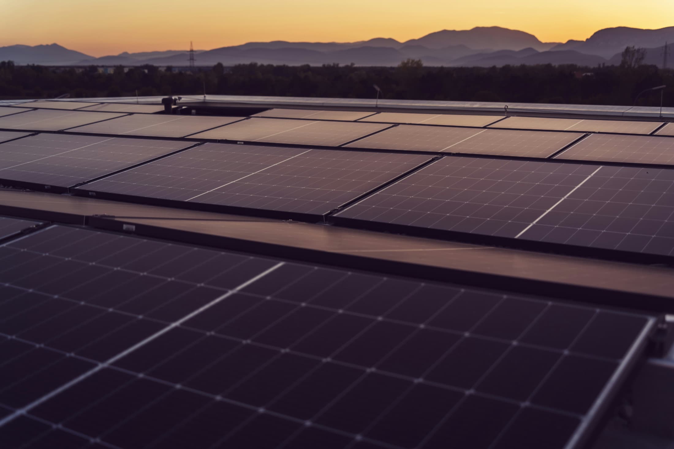 Solar panels at sunset